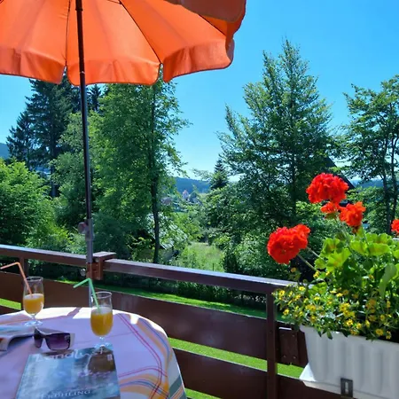 Ferienwohnung Fernblick Apartment *