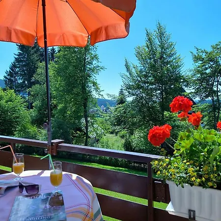 Apartment Ferienwohnung Fernblick